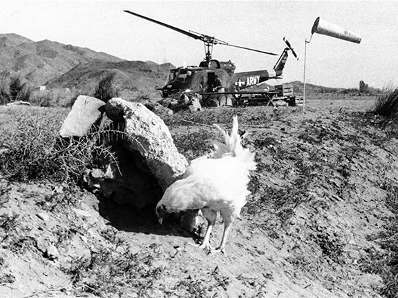 Enlisting the help of the locals